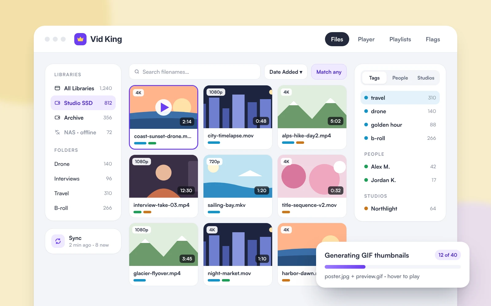 Vid King desktop app screenshot